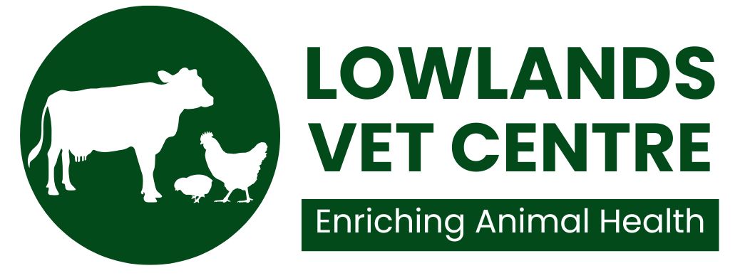 logo1